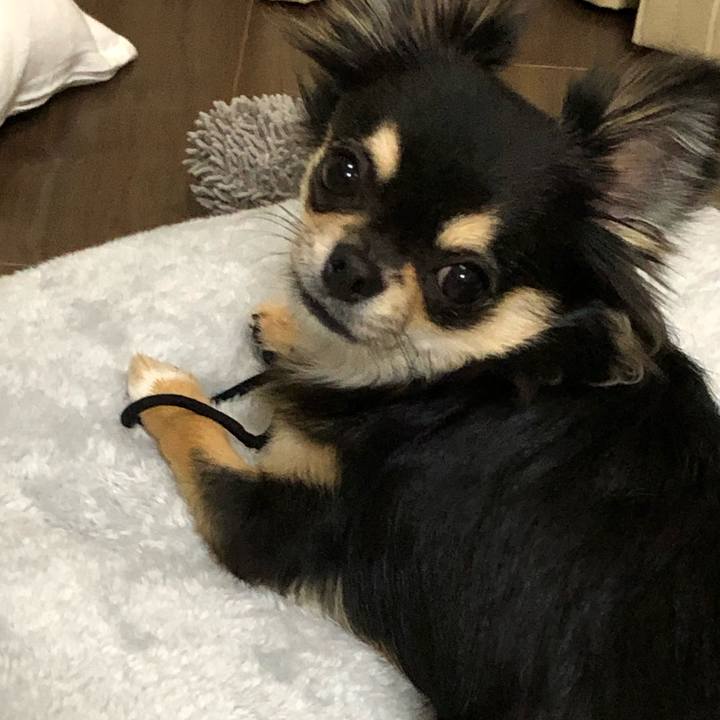 35ae036f 1924 400e b4fb 0e5e33e420ad 1549926968157