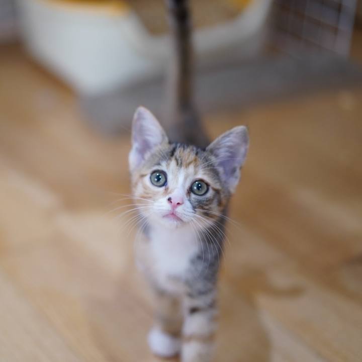 35ae2351 ae2d 46a9 bbce 32576b4cea46 1567554304042