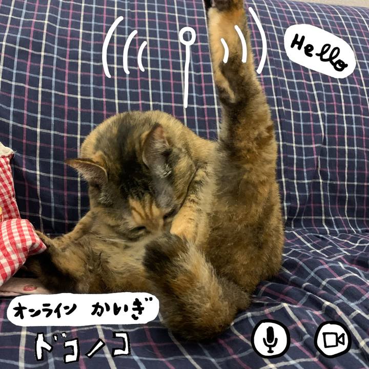 35ae4473 e8db 47ed 95c8 1f383dc7d5c7 1590706360722