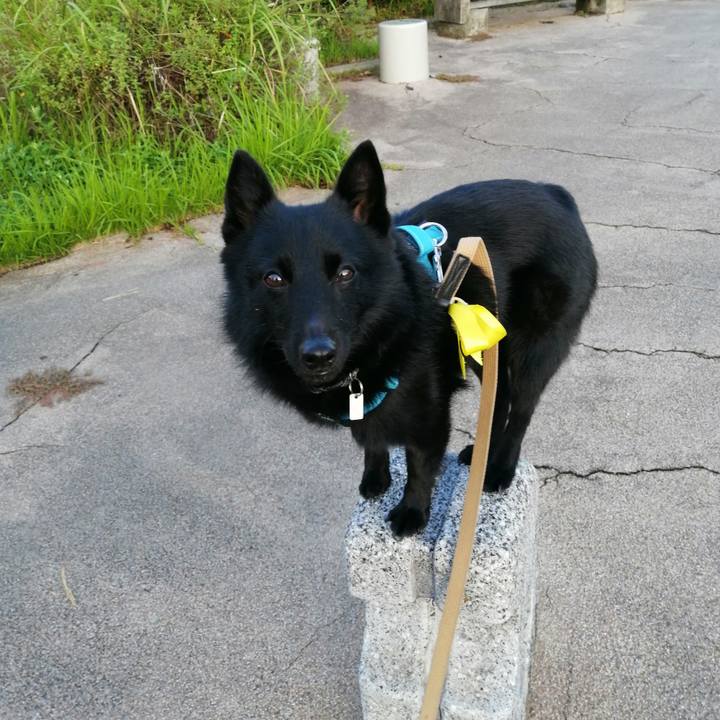 35ae494b a9e3 480f 9d71 cdf0ffc830e5 1663968633296