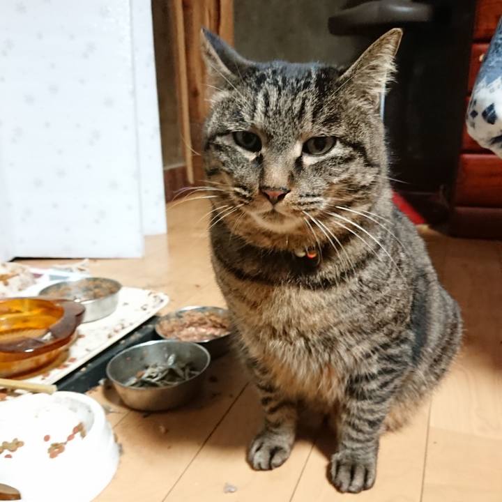 35aea65e 5feb 4de4 bc05 22faa3299ab9 1644268168846