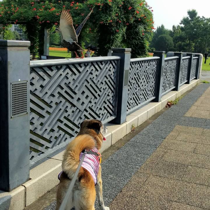 35aeae1e 6f12 4621 96a8 e722cf3620d6 1532042979014