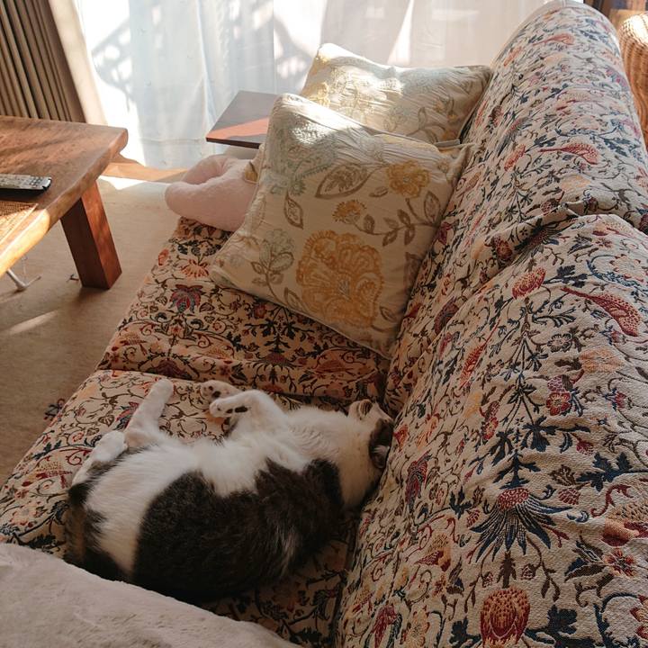 35af097a 55e0 4819 bf96 a9f17160f38f 1698989540258