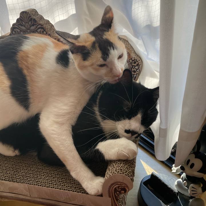 35af58e2 f55f 40be ba2b f6468fb3d02f 1676934433464