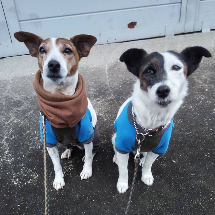 35af5d0c 038a 40a4 aa2c 60619e07b4cf 1766528052255