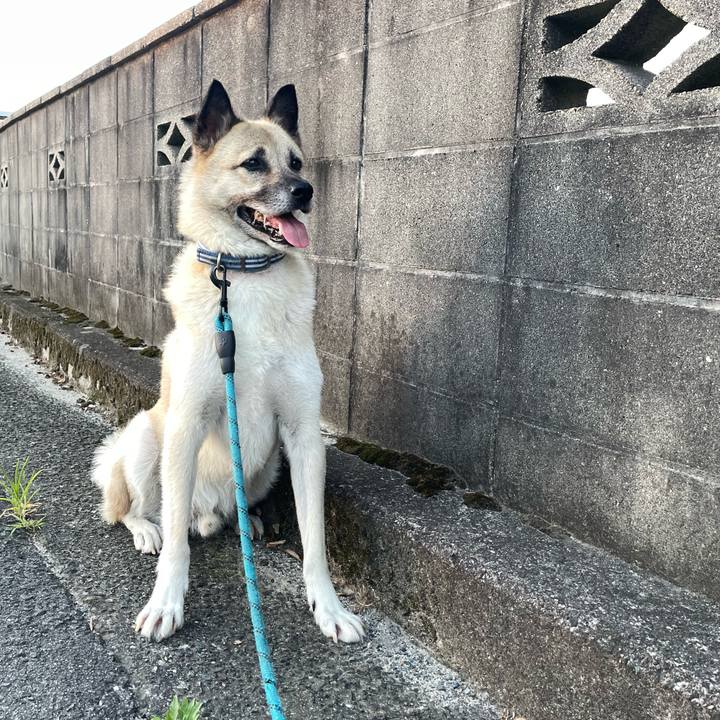 35af8080 8137 43a3 94fb 5a7240769428 1691152985302