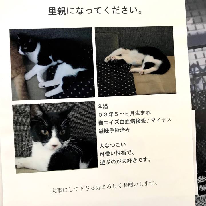 35af829f 7797 4a14 9afa 9fc63d8b1c1a 1585103557391