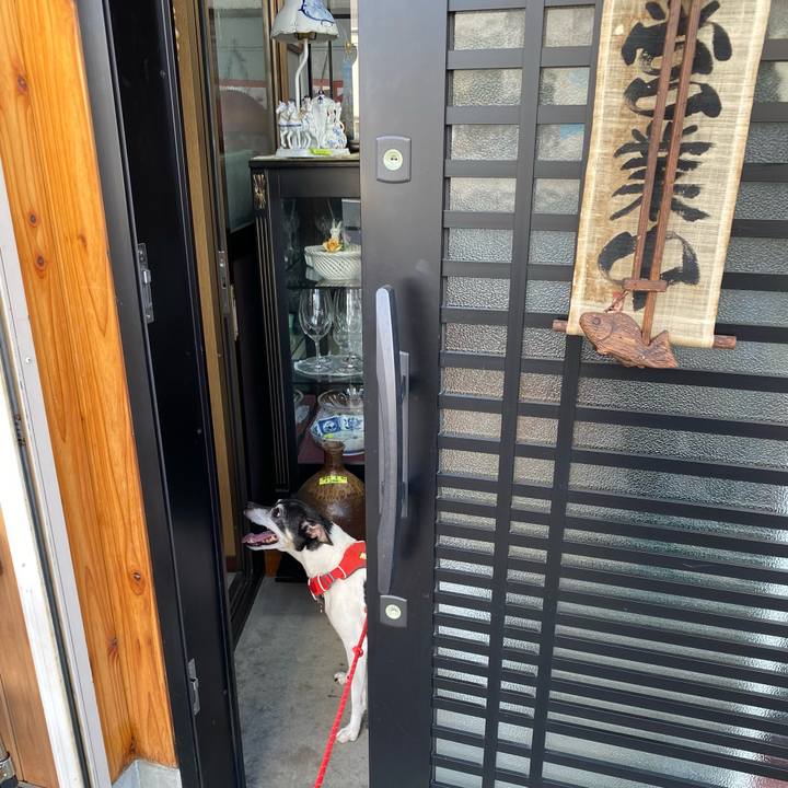 35afd07a 16ee 4f08 9365 f6fb72bed379 1626521369701