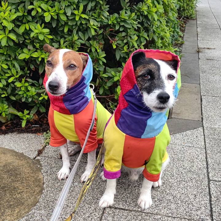 35afec6a 21fb 4cb3 b5ec d7d2b2952889 1695335628924