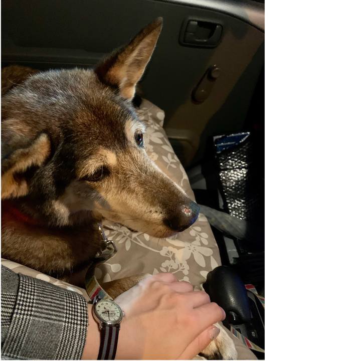 35b0357c fac1 4531 9e9b f4723af87d7b 1572439207186