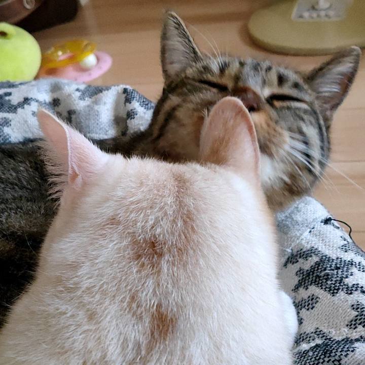 35b07546 52fa 4c8d 9597 300af8c3dc33 1659248880060