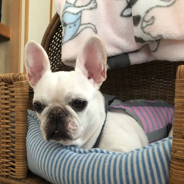 35b08d28 f47f 46ae a60c ba9a49267997 1569117158085