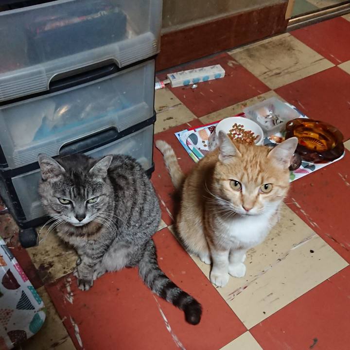 35b0a2c1 9e57 4697 b79c 19eb6a121e54 1589534126506