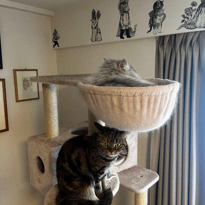 35b0b276 c986 4142 87b6 d49b37e1839d 1734787546271