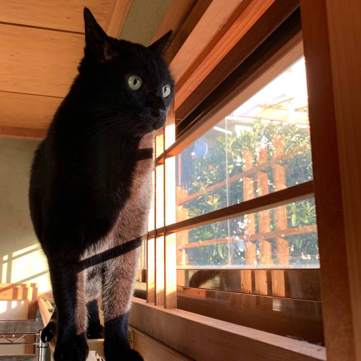 35b0cf1c c8f8 428c 9c2f fe877854e150 1580347386007