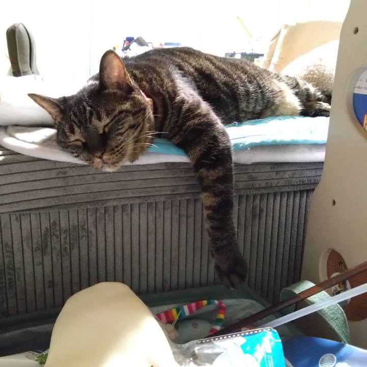 35b0e125 eca1 4226 96fa 1f3eee519268 1759236352711