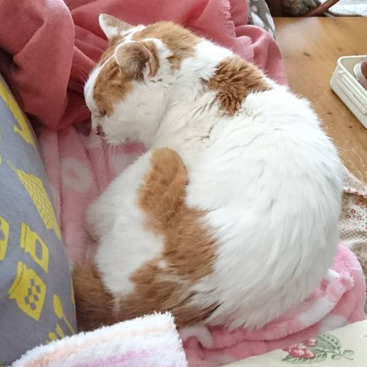 35b10e77 f324 459a bab1 e96eb623c056 1579330034862