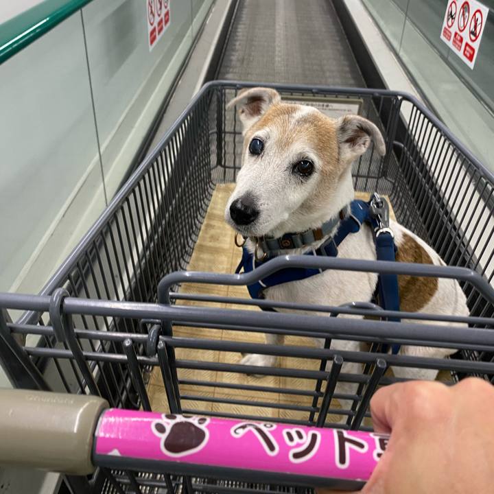 35b10fb1 ace7 4f3a 83d6 3ddd549fafe2 1655112309110