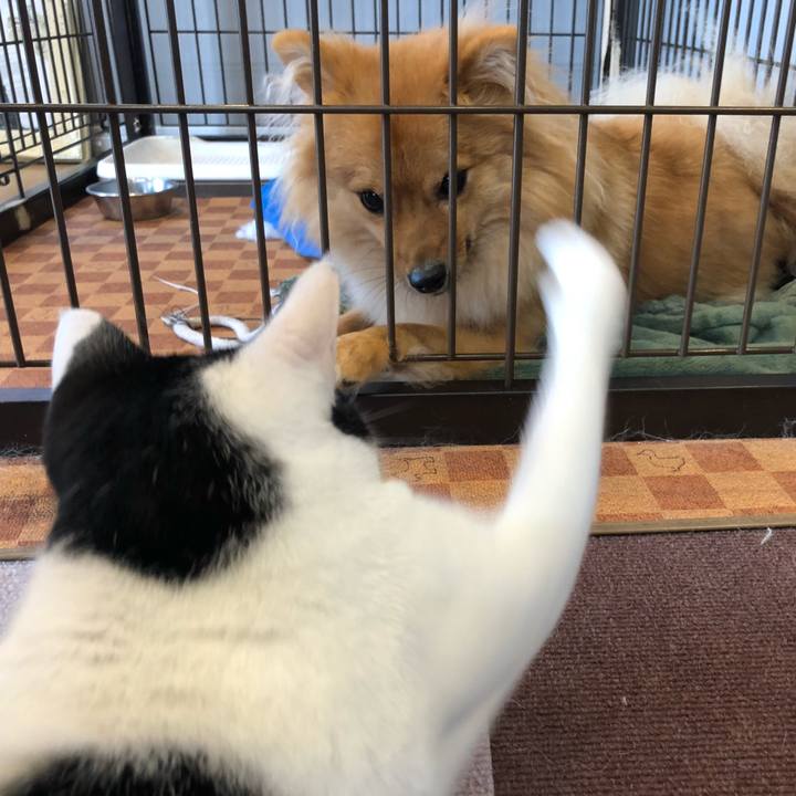 35b12b22 5105 4eda bf60 9778203823f1 1631417838048