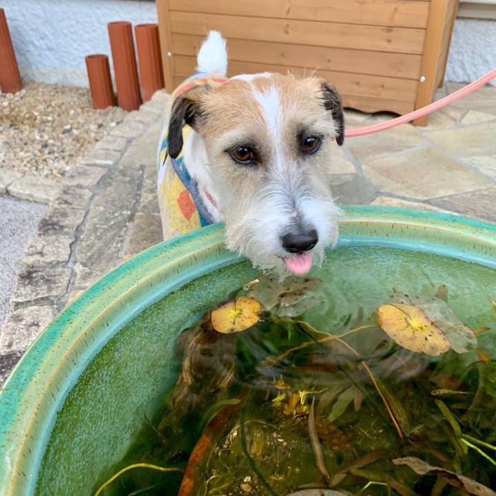 35b16bb9 3985 474c 924d c8d1df4f811f 1672480989150