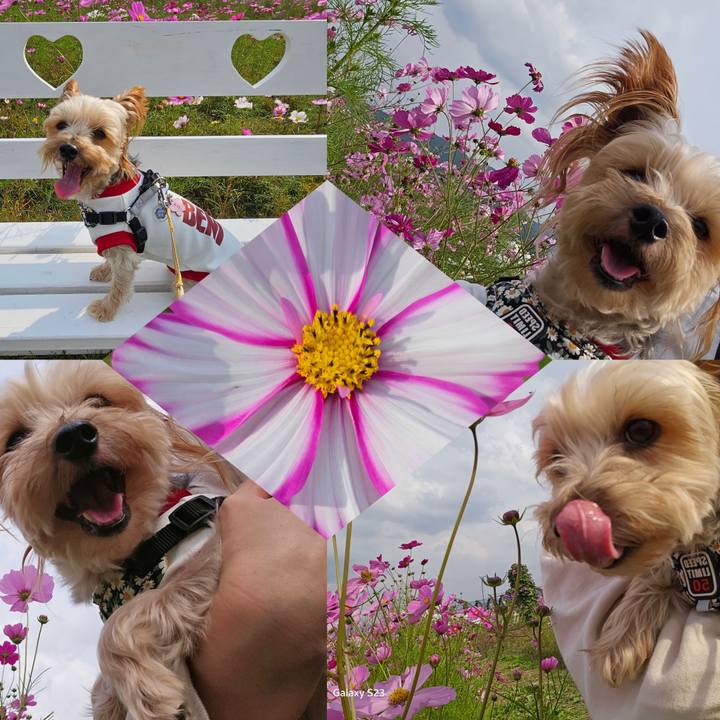 35b17747 3939 4259 8cf8 83e19443c1ad 1698390097519