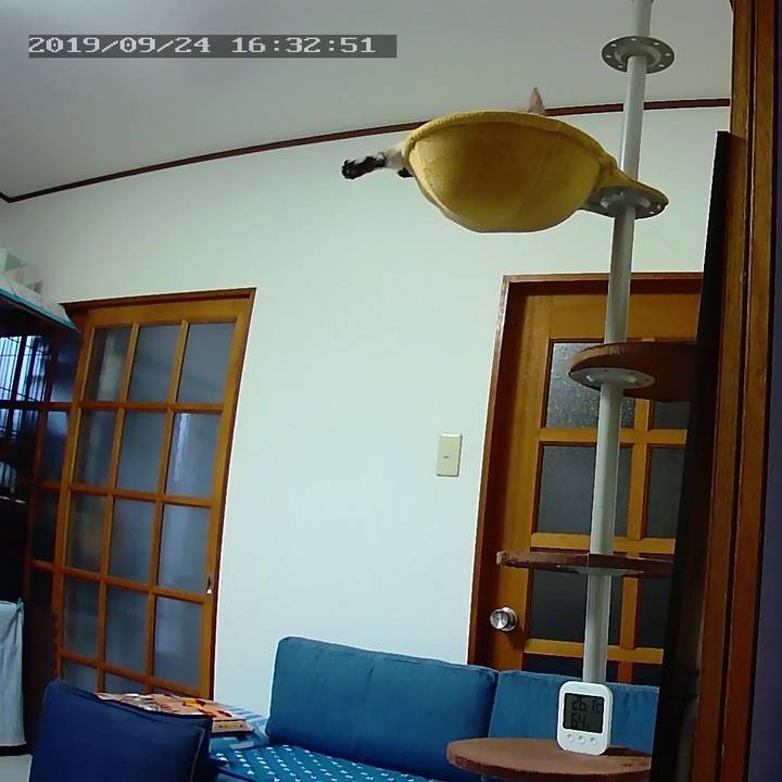 35b177b9 701a 4563 918c 945b86dfe11f 1569310548345