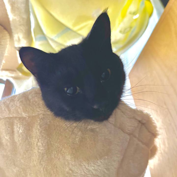 35b19730 ddc4 4682 9675 e7dfd0253b49 1761091619031