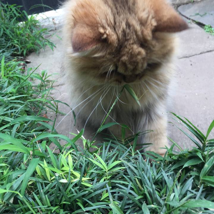 35b19ed5 1576 4ea8 9f90 681caabb3456 1567299965149