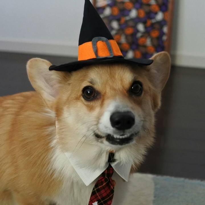 35b1bfe1 8ba3 4ce5 820b b08d84e65796 1508464494369