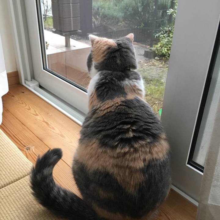 35b1e2c3 e6ba 4091 b103 5b22db9642f6 1537860065511