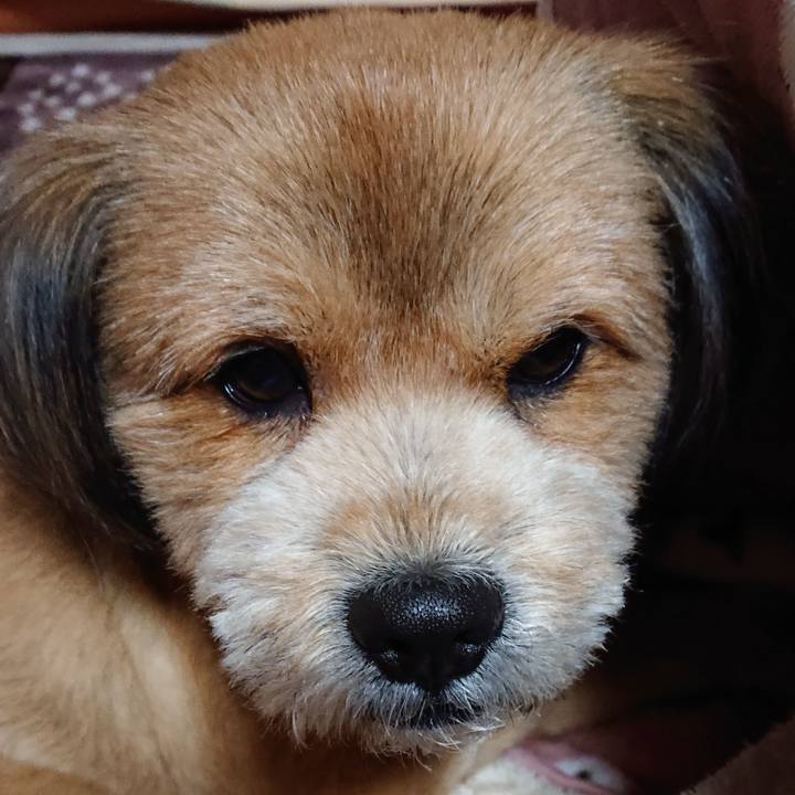 35b1f19a d767 4da8 987b 613a11a8d9f1 1551190067844