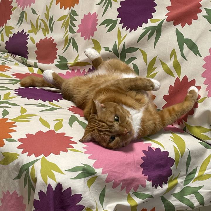 35b20121 d0dc 4ad3 accd f50a7a2353aa 1673621809327