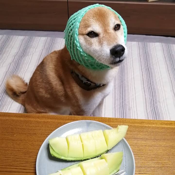 35b20b55 bfcd 4bdc a24d a1ec1bc41b12 1657201213224