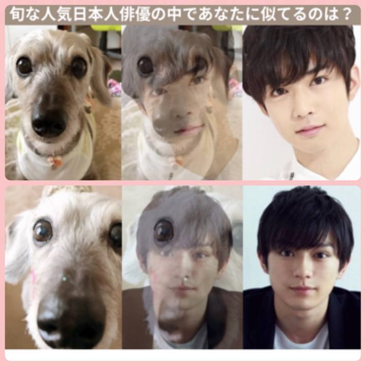 35b2258d 20e0 46a8 98d2 2b585e1b9e76 1528545120308