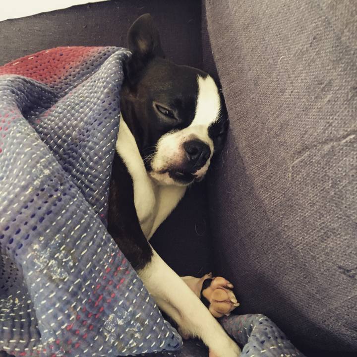 35b25be5 1b40 463b ade9 858160faff21 1527667554175