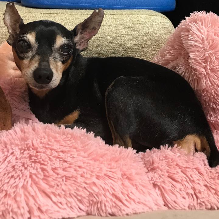 35b270cf 52d6 489b a973 e9cff89ddd29 1533180398766