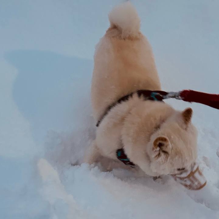 35b29e3a 5f8c 45e9 87b9 19f41c5ed49e 1733610945898