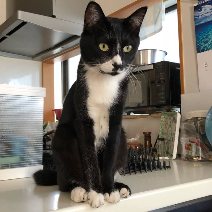 35b2d5d6 9db3 4c6d a244 31074503d482 1534142140215