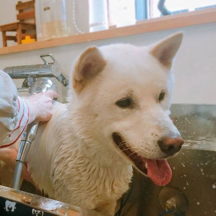 35b31b82 0e00 43d7 ba94 2e5e3d76b561 1524051763513