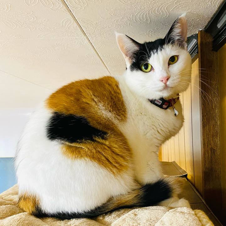 35b343d7 1787 49dd 9b6c af246403167c 1666820964295