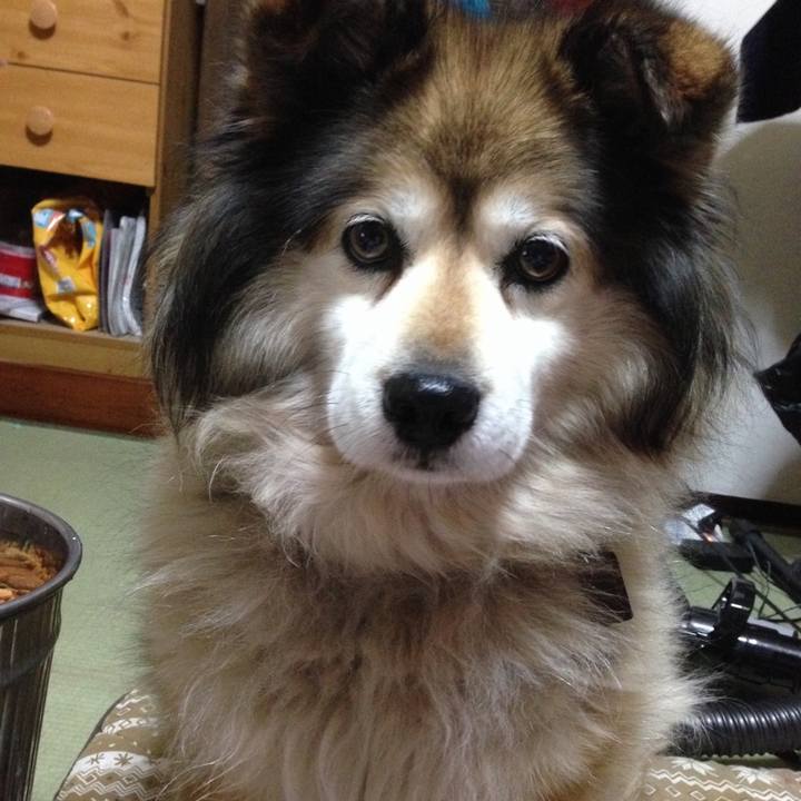 35b3456a 417b 4c5f af6e 4a033180f478 1650164210545