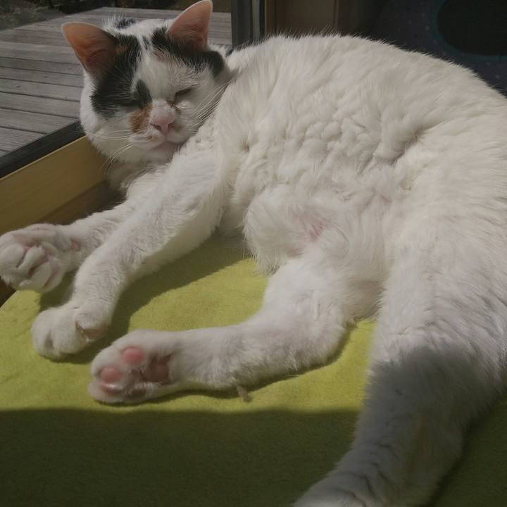 35b34c50 138c 4bcb a680 387b63a278df 1618884568927