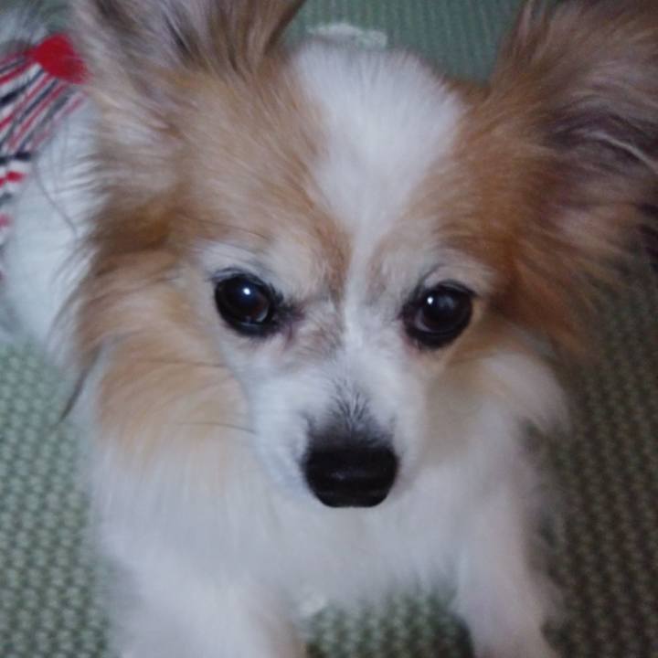 35b4207b 358b 46ac 81cf f6e91f7051c1 1536768724935