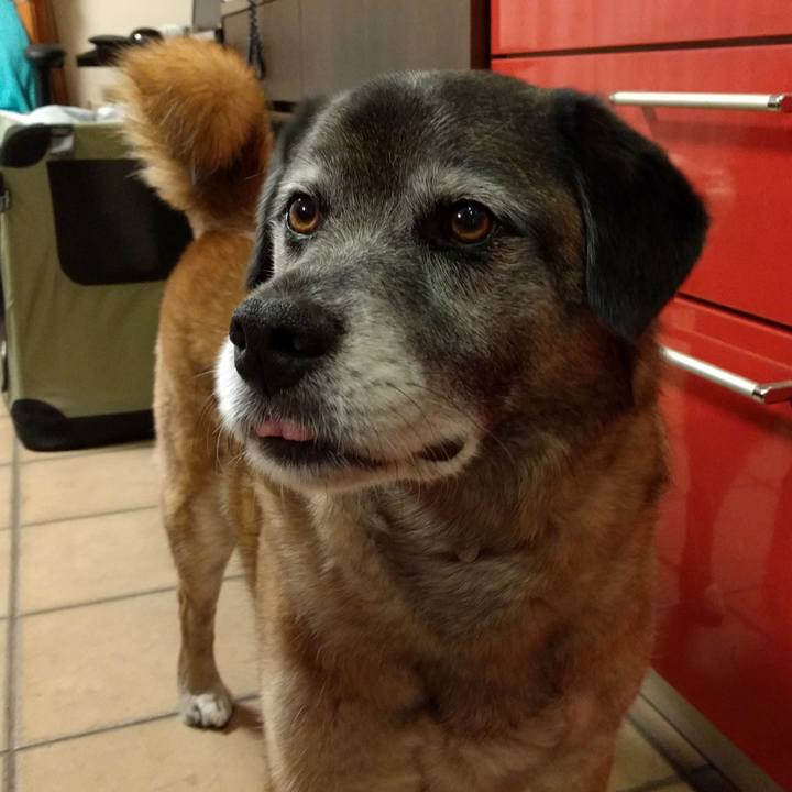 35b42094 e5d3 47f8 a821 3e70ac005c9f 1722125849281