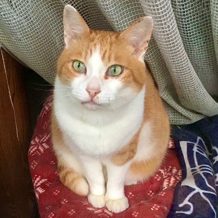 35b489ed 0978 4258 afc3 dce36b0a6b27 1589785234025