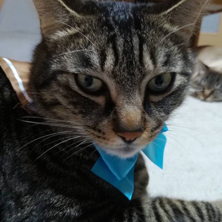 35b49aea 095e 4d60 88ea 5c1e2bc73323 1549192692534