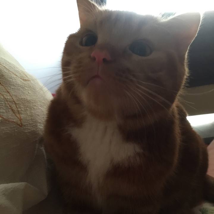 35b4ebc9 488c 4281 81e4 5ac544ffca0e 1510180216306