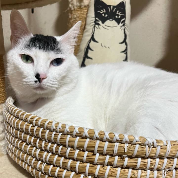 35b4fa6b f08f 4cd0 a7bf 637e2ef5bc9e 1761903348152