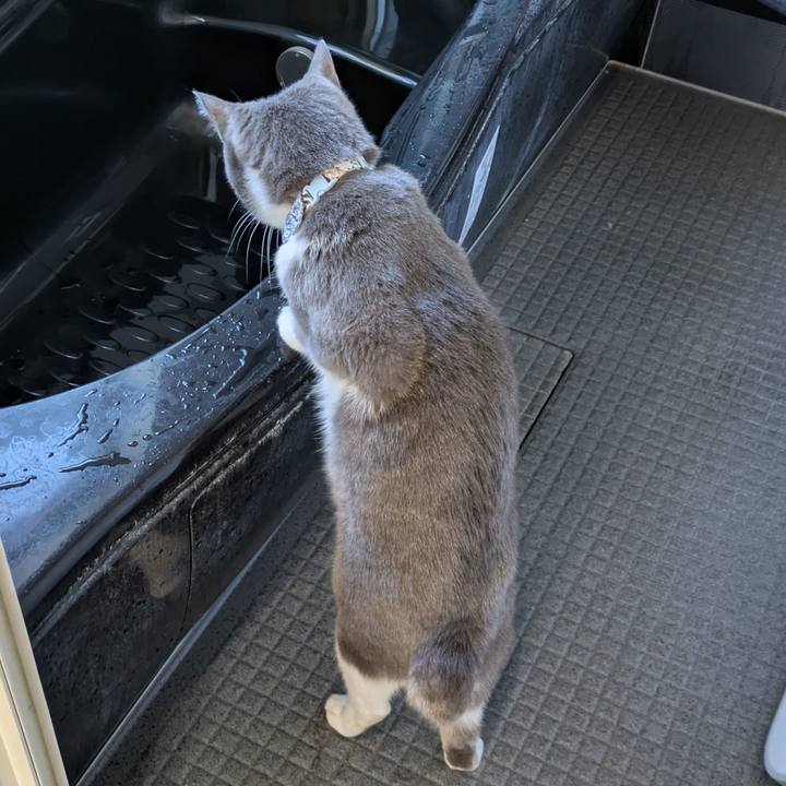 35b55f31 6d1e 42ff b28f 9e6709f0cc3e 1737868924660