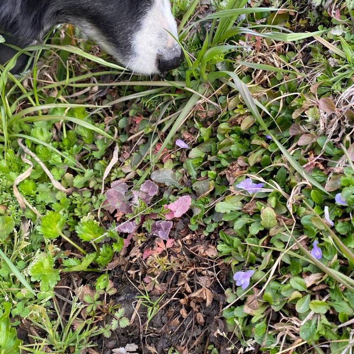 35b593ac 5dc4 41bc 969b 46697e10d755 1614385575995